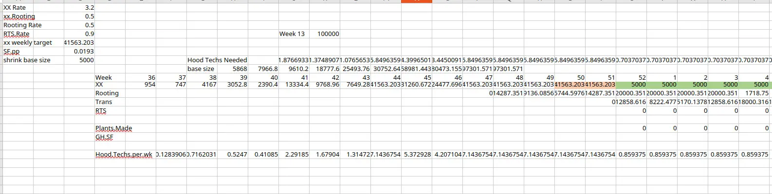 A spreadsheet projecting tissue culture production for one cultivar by week. Inputs at the top-left list multiplication rate, rooting rate, weekly target, and base size. A grid below shows weekly populations across stages (XX, Rooting, Trans, RTS, Plants.Made) running from week 36 through week 4 of the following year, with the rightmost columns highlighted green to mark the steady-state shipping plateau of 5,000 plants per week.