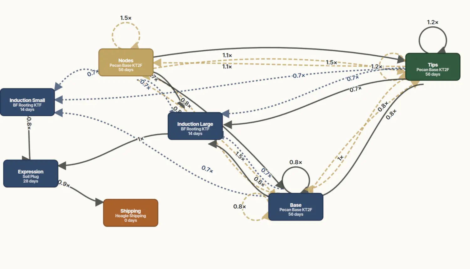 A pecan production network diagram showing stages (Base, Nodes, Tips, Induction Large/Small, Expression, Shipping) connected by routing edges labeled with multiplication rates